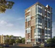 Master Amara Featured Image