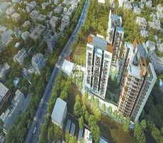 Merlin Elements Featured Image