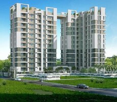 Merlin Iris Featured Image