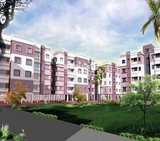 Merlin Trinoyoni Featured Image