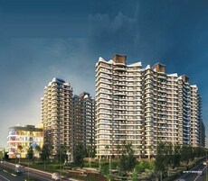 Mounthill The Rain Forest Featured Image