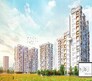 Nirman Hijibiji Flagship Image