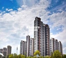 Rishi Builcon Locus Featured Image