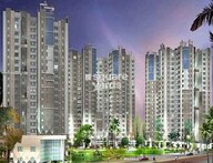 tn ruchi active acres flagshipimg1