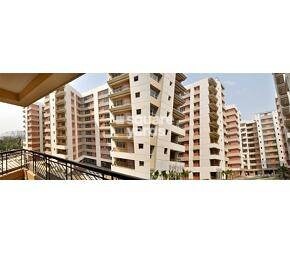Siddha Silver Pines