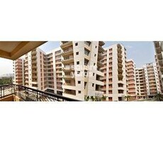 Siddha Silver Pines Featured Image