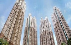 South City Featured Image