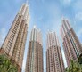 South City Flagship Image