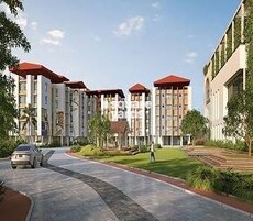 Squaremark Mohorkoonjo Featured Image