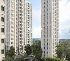 Sureka Sunrise Aura Featured Image