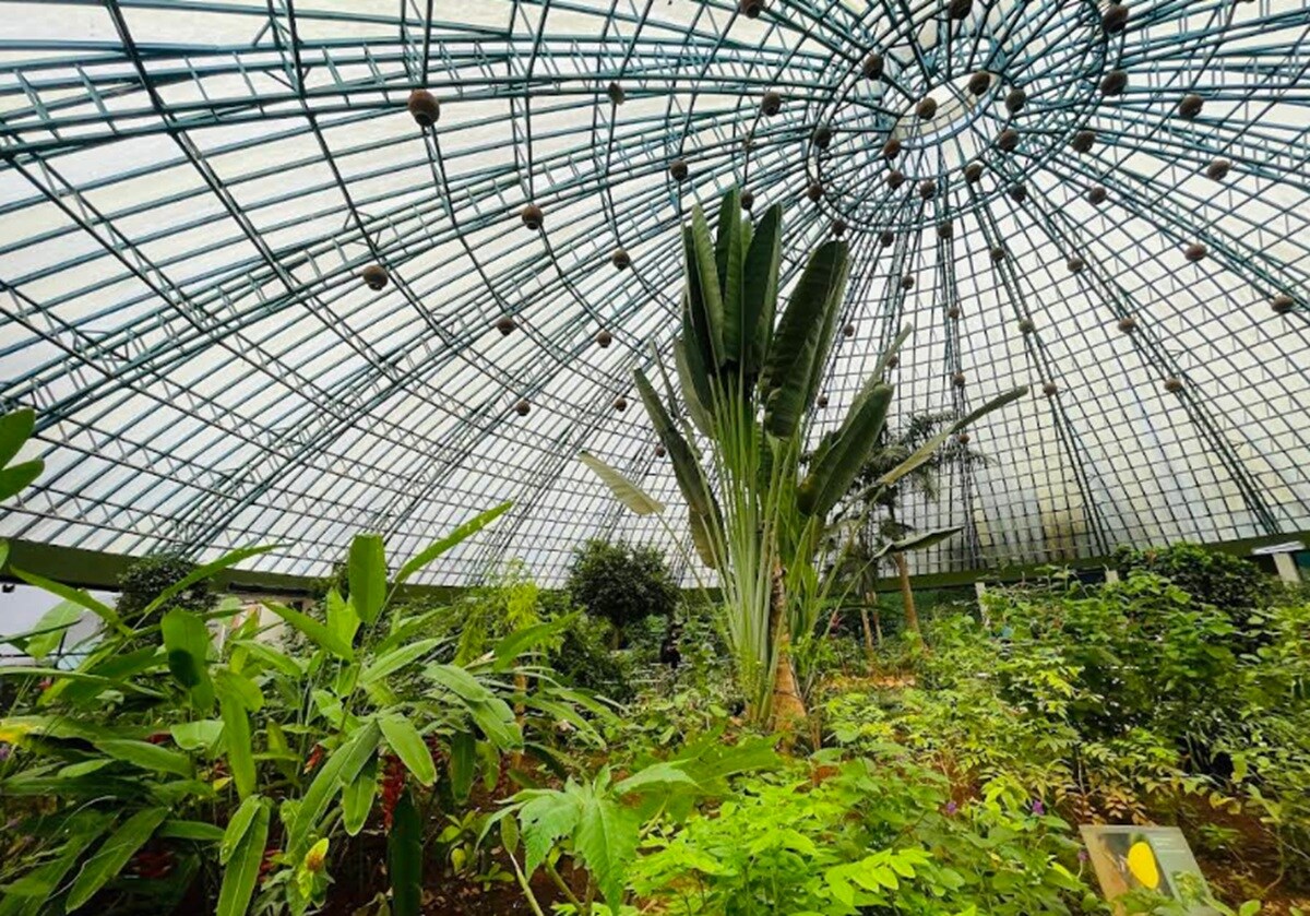 Bannerghatta National Park and Zoo Bannerghatta