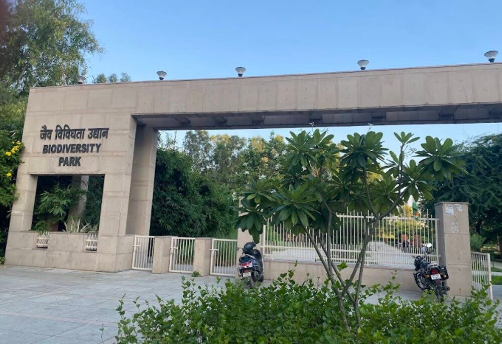 Biodiversity Park Sector 91