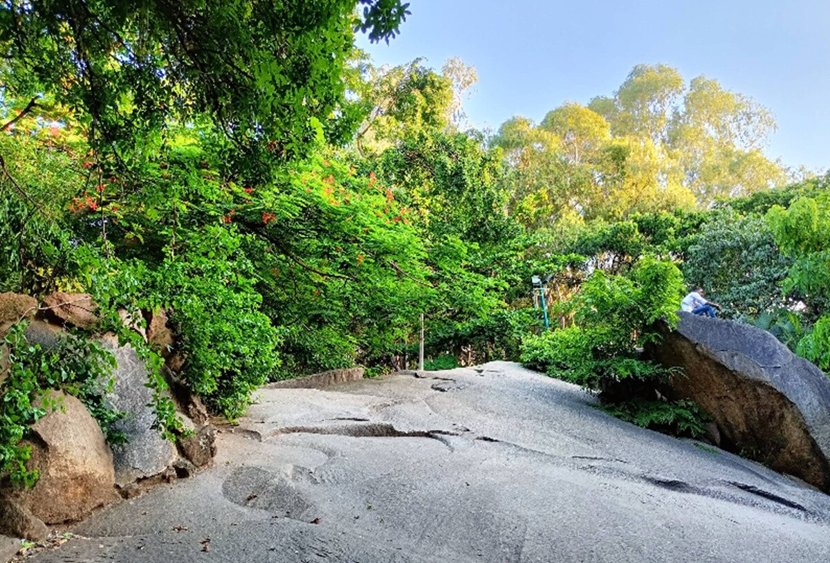 Bugle Rock Park Basavanagudi