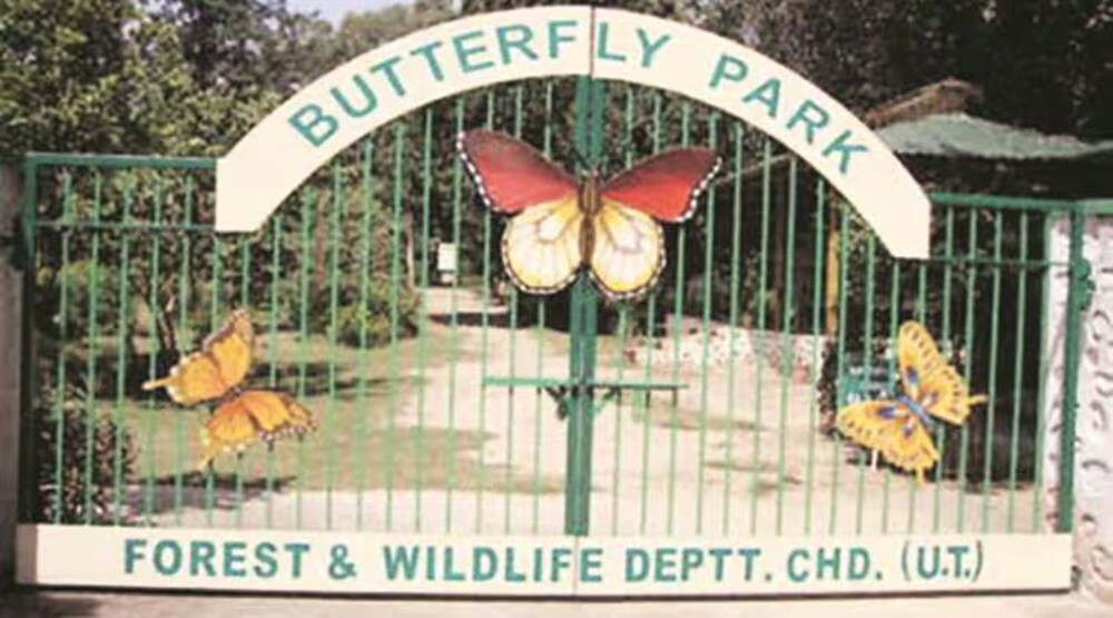Butterfly Park Sainik Farm