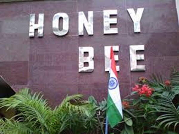 Honey Bee School Shibpur