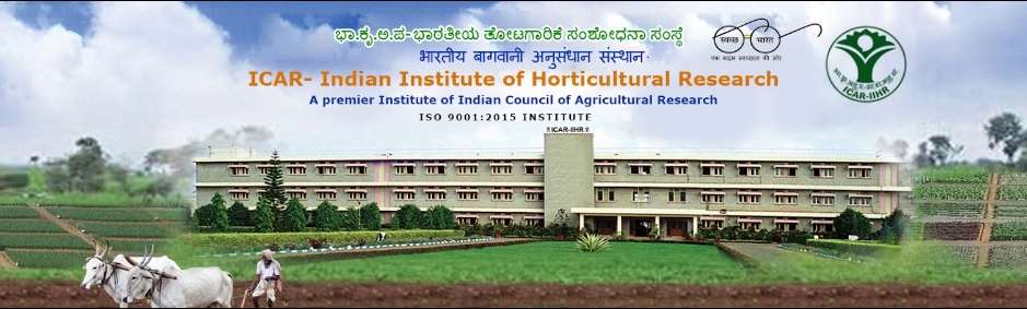 ICAR ndian Institute of Horticultural Research,  Hesaraghatta