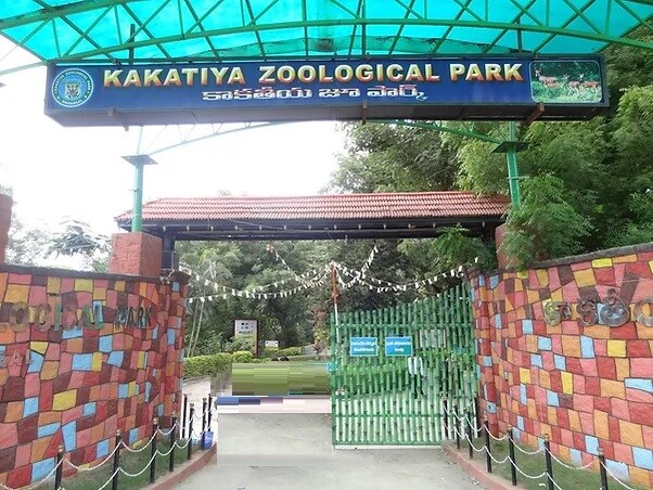 Kakatiya Zoological Park Kazipet