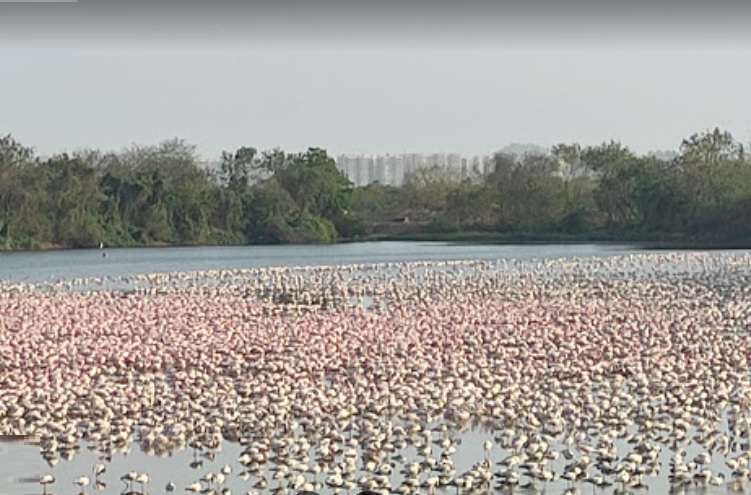 Karave Flamingo Point,  Seawoods