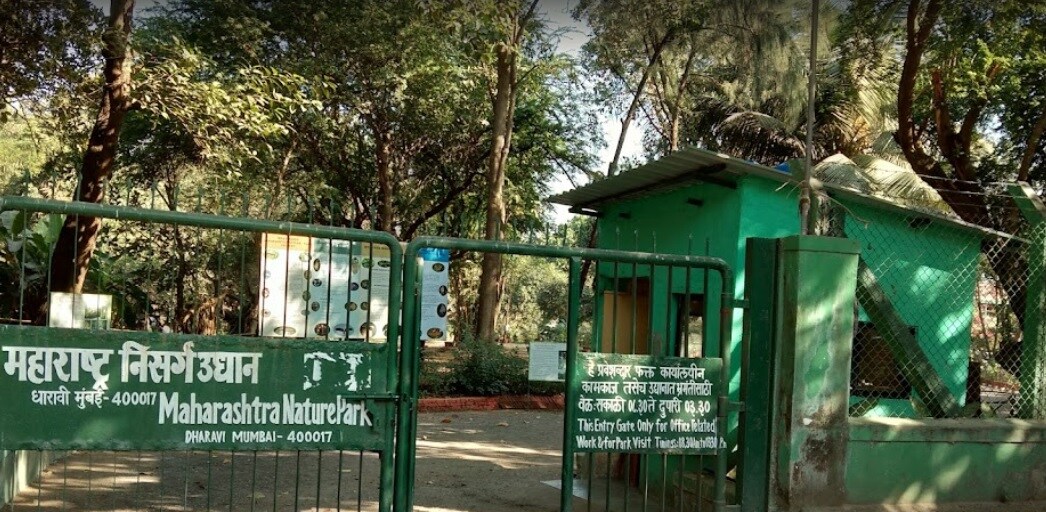 Maharashtra Nature Park Dharavi
