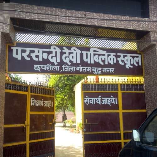 Parsandi Devi Public School,  Chhapraula