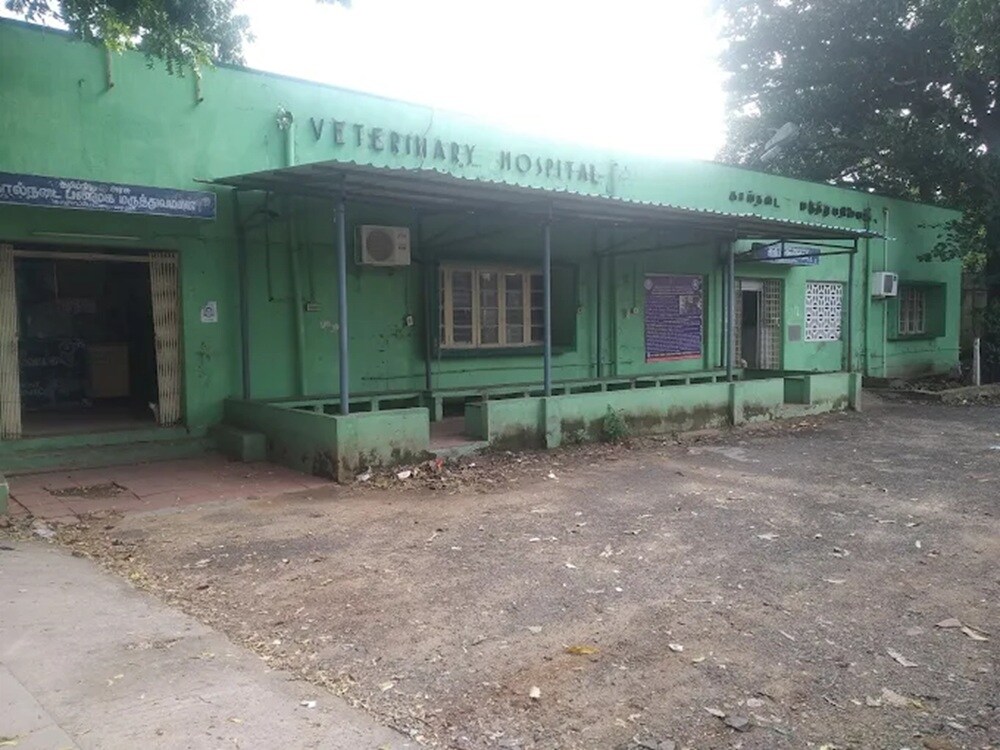 Saidapet Veterinary Hospital Nandanam