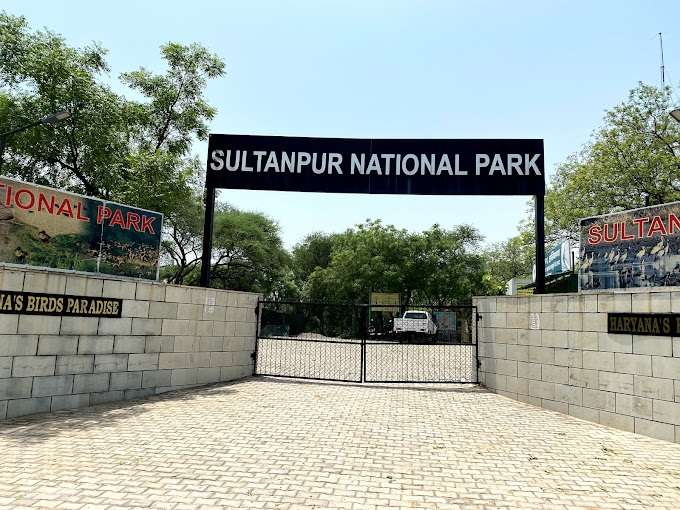 Sultanpur National Park,  Chandu