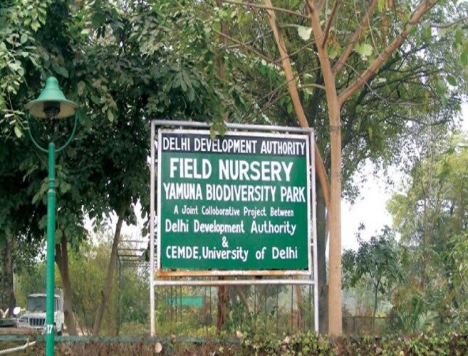 Yamuna Biodiversity Park Wazirabad
