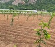 Vardhan Green Hills