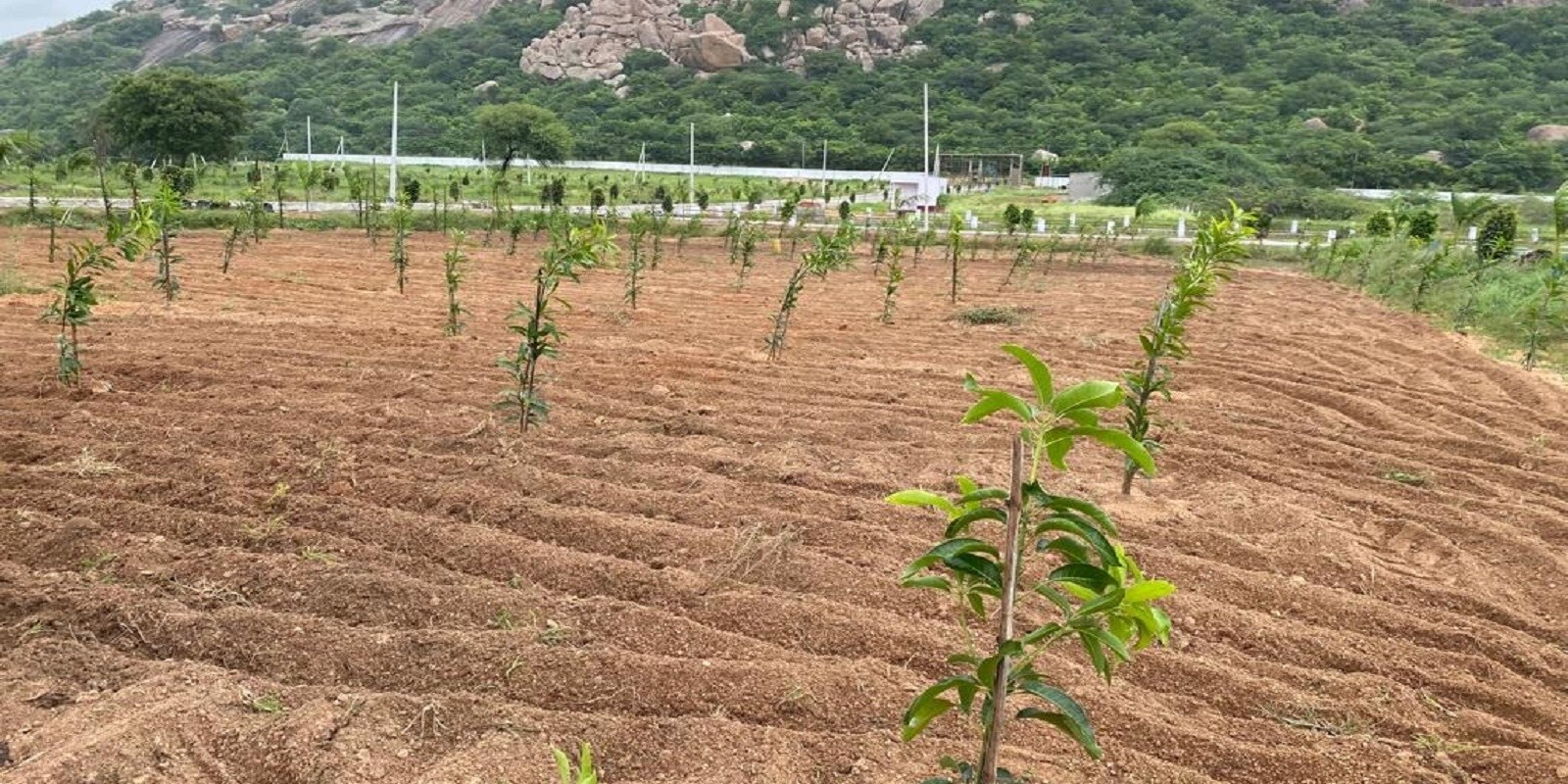 Vardhan Green Hills Featured Image