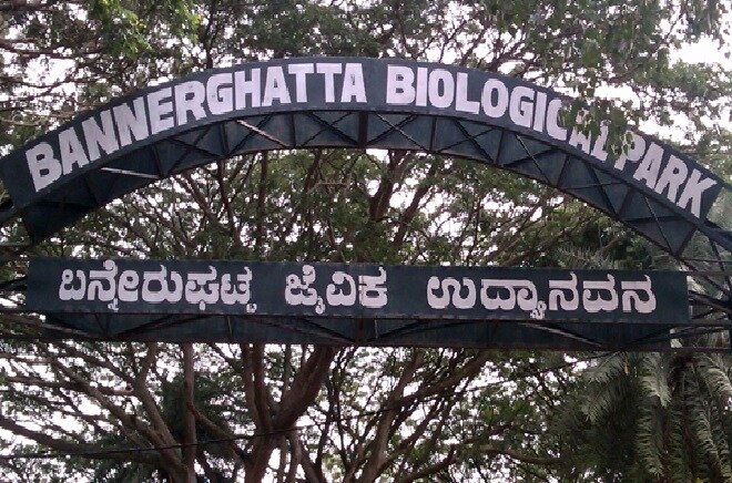 Bangalore