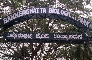 Bangalore