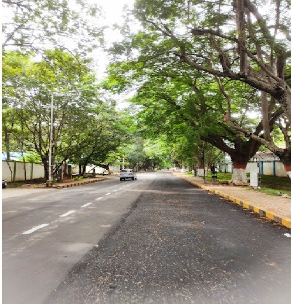 HAL_a street scene with trees and street signs