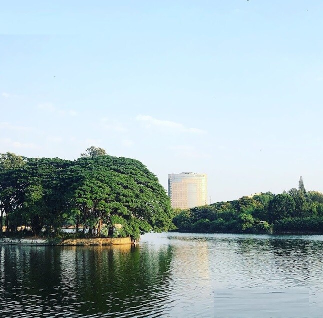Halasuru_a large body of water surrounded by trees