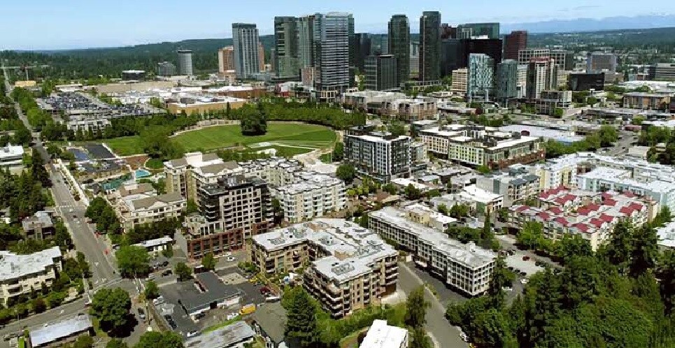 a city with lots of tall buildings and lots of trees