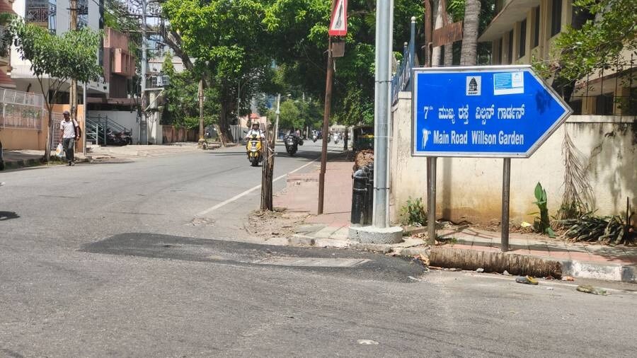 Wilson Garden_a blue and white street sign sitting on the side of a road