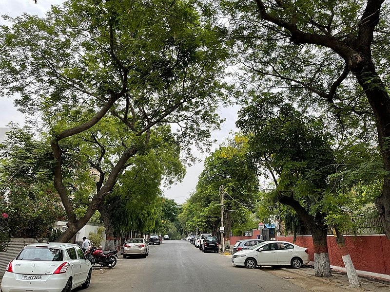 Green Park_a street filled with lots of cars and trees