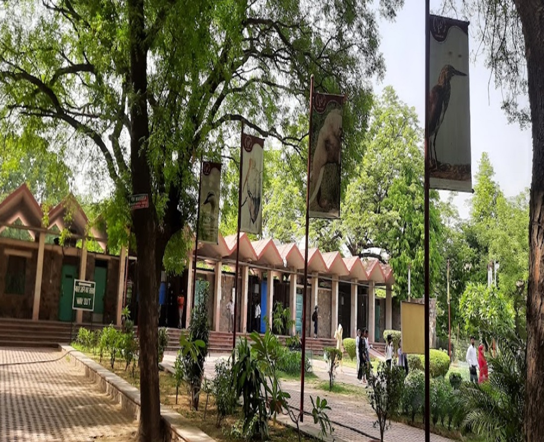 National Zoological Park, Delhi