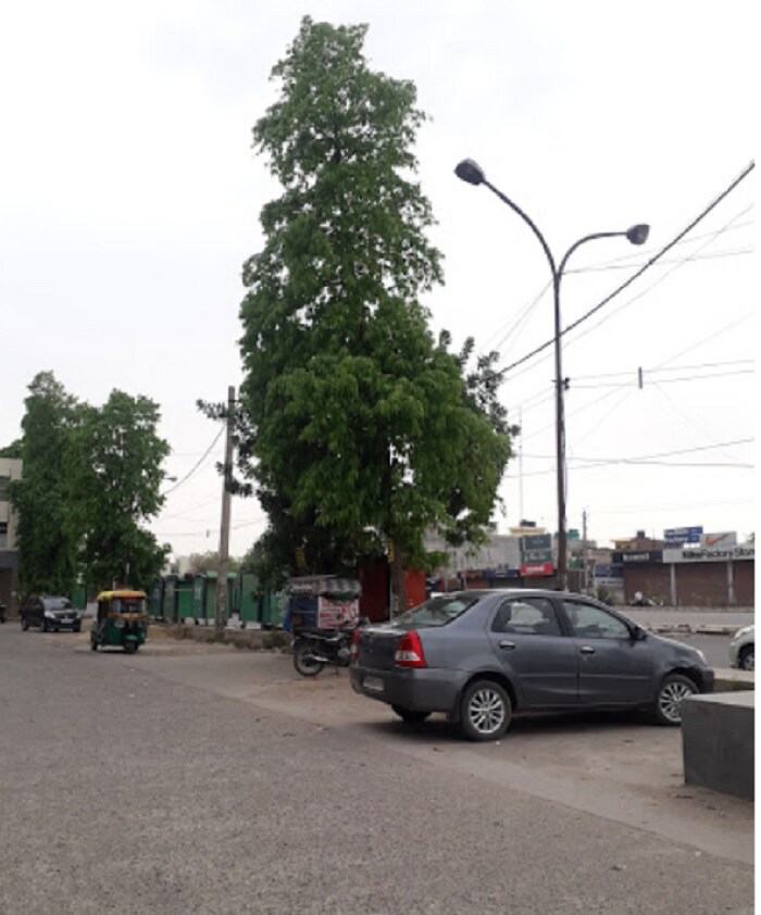 Sector 14_a car is parked on the side of the road