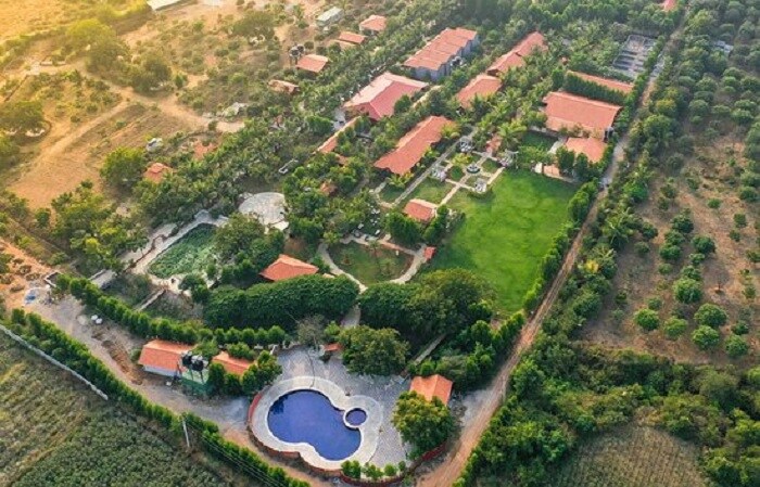 Moinabad_a scenic view of a lush green field with palm trees