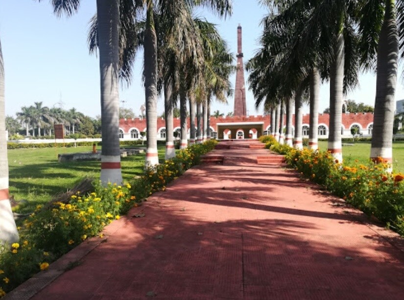 Vasant Kunj_a walkway with palm trees and palm trees