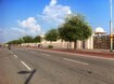 VIP Road_a street with trees and a street light