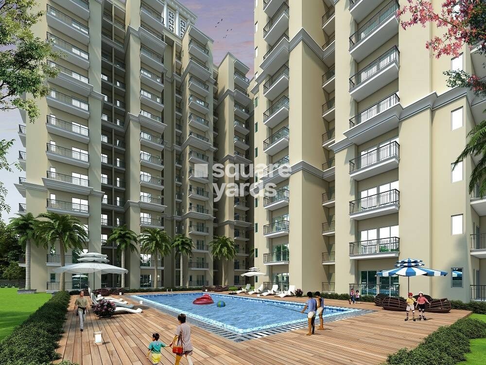 Antriksh India Abril Green