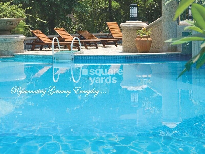 Antriksh India Abril Green