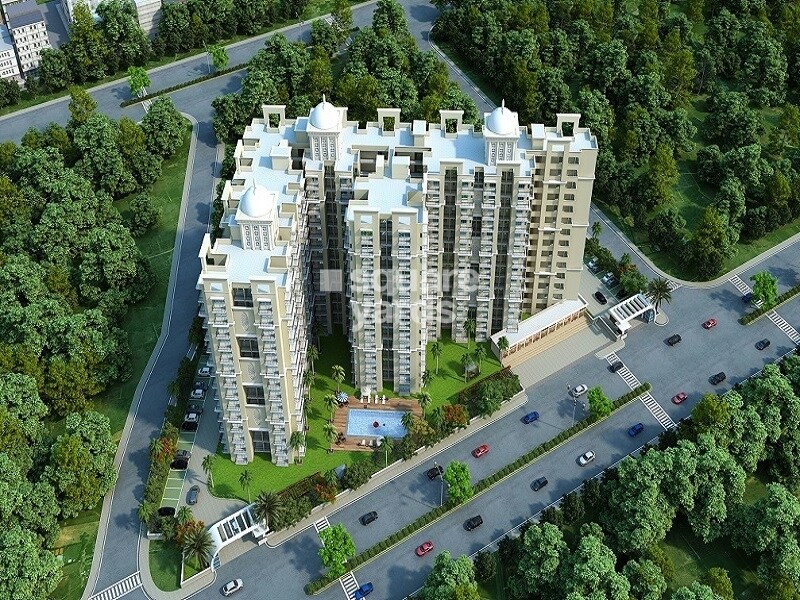 Antriksh India Abril Green