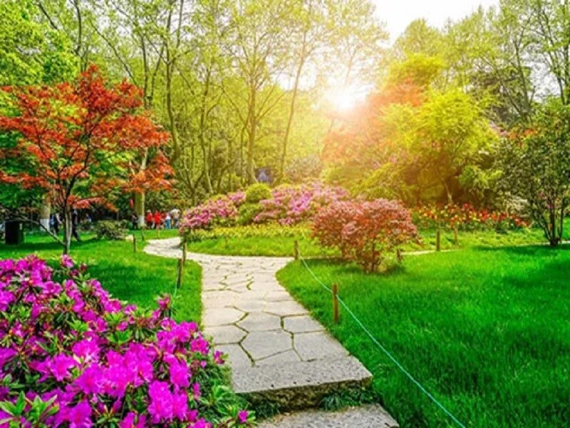 Dragon Age Nottingham Homz Amenities-Features 2