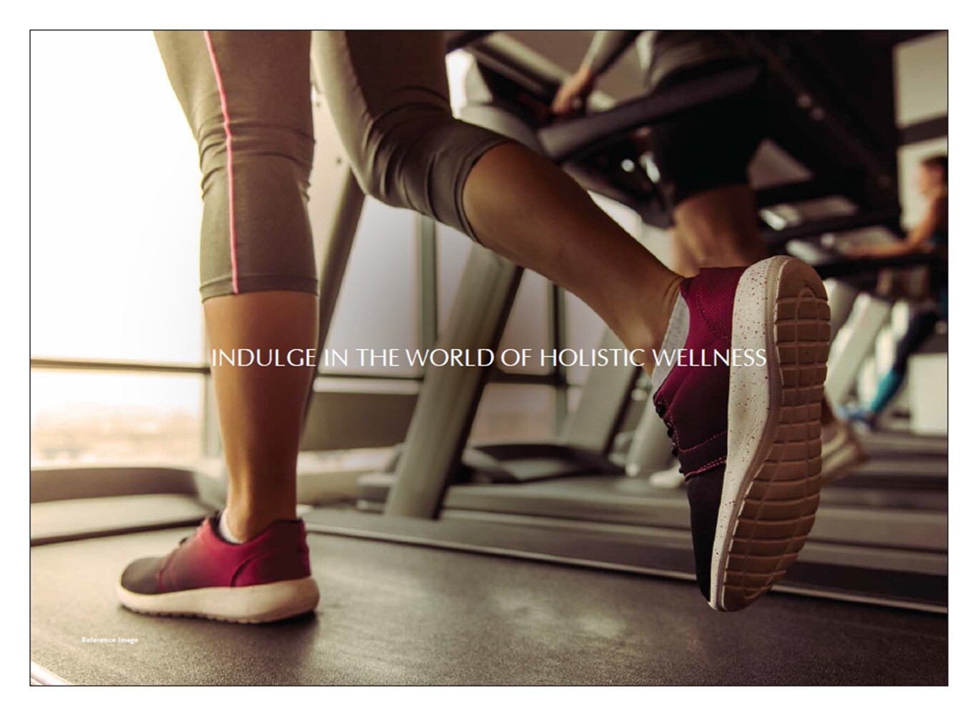 Emaar Elite Oasis Gymnasium Image