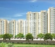 Gold Star Homes