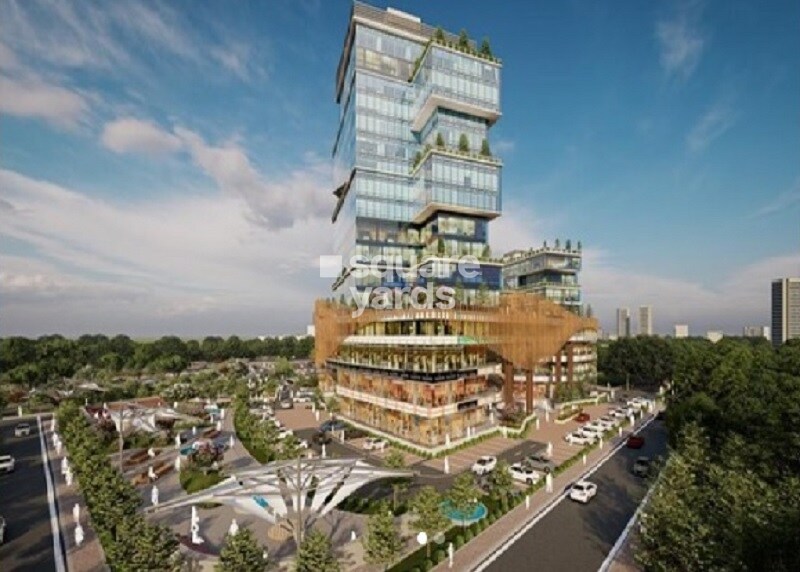 Jas The Walk Tower View