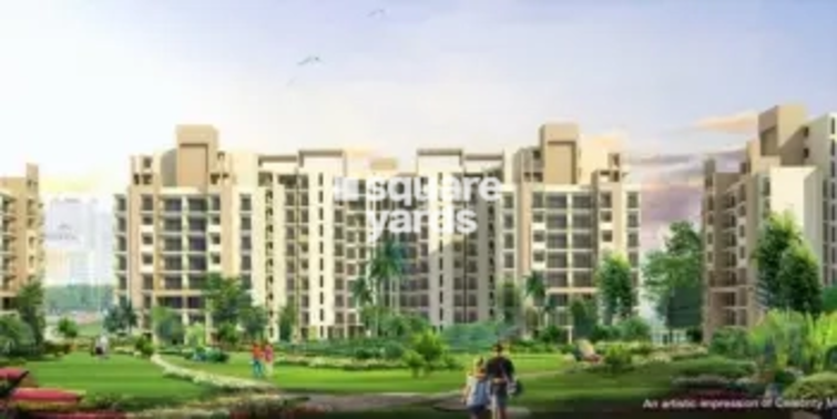 Levana Celebrity Meadows Project Thumbnail Image