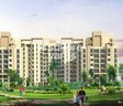 Levana Celebrity Meadows